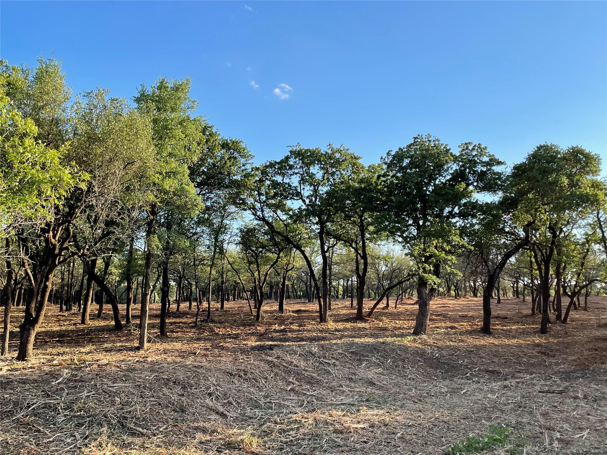 Land in Jonesboro 3