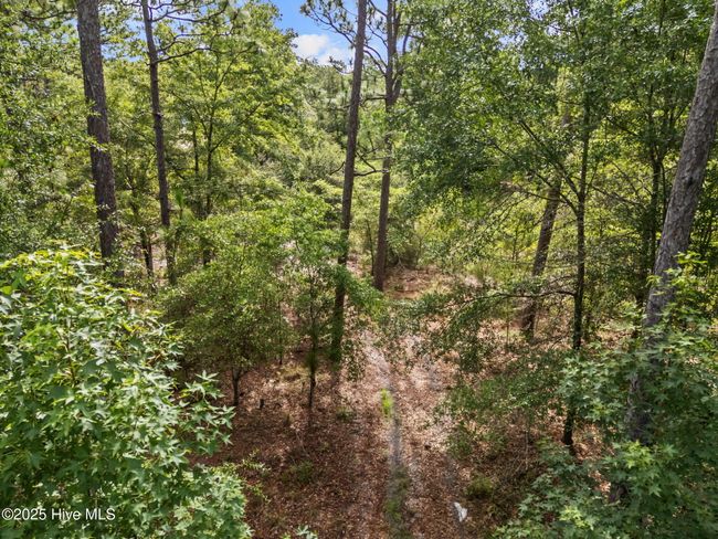 Wooded | Image 21