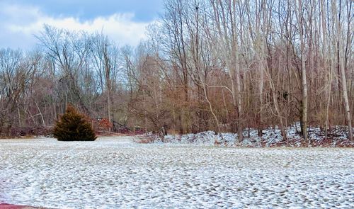 56660 Tanner Trl, Three Rivers, MI, 49093-8056 | Card Image