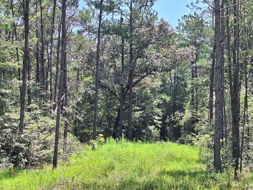 6851 Private Road 8235, Buna, TX, 77612 | Card Image