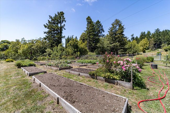 11-525 Vance Lane Carlotta-111 | Image 11