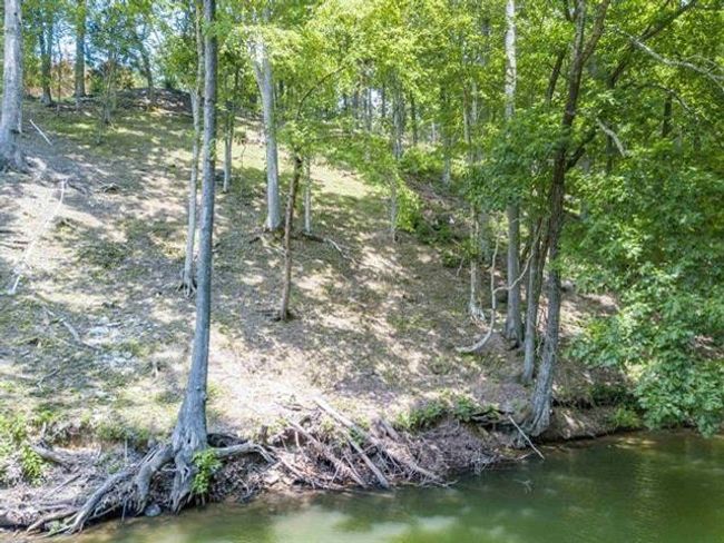 0 Ridge View Dr, Home with 0 bedrooms, 0 bathrooms and null parking in Savannah TN | Image 7
