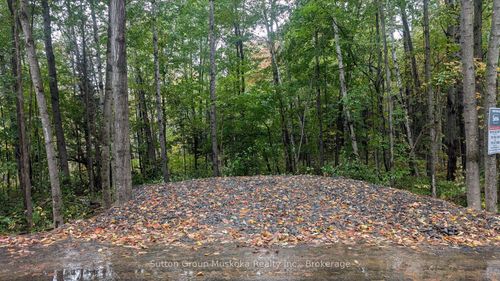 Lot 1 Tally-Ho Winter Park Road, Lake Of Bays, ON, P1H2E8 | Card Image