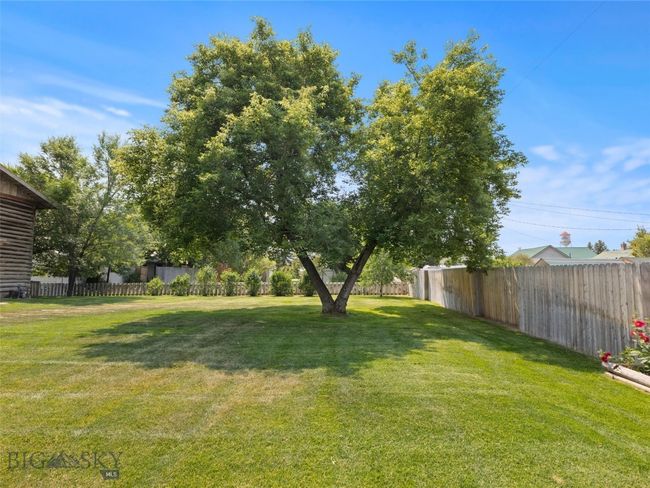 Mature trees in yard | Image 40
