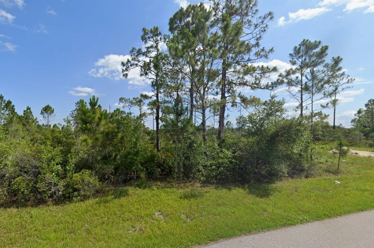 Land in PUNTA GORDA 4