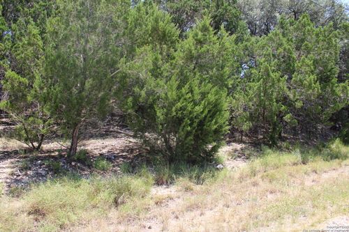 1105 Rotherman, Canyon Lake, TX, 78133-2637 | Card Image