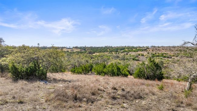 View of local wilderness | Image 9