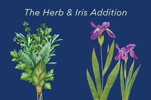 Block 4 Lot 10, Holmen, WI, 54636 | Card Image