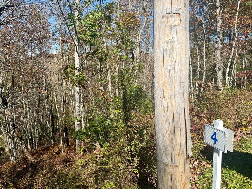 Land in Cashiers
