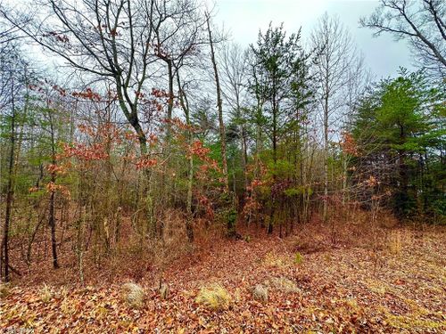 45 Ridge Run Rd, Boomer, NC, 28606 | Card Image