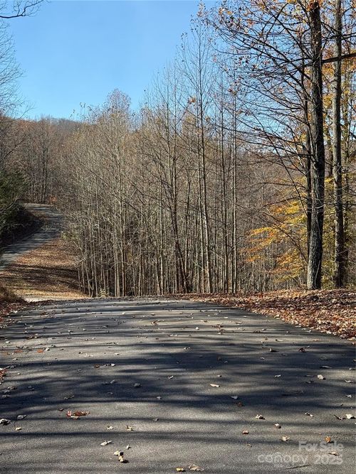 V/L Lot 72 & 170 Black Lark Drive, Marion, NC, 28752 | Card Image