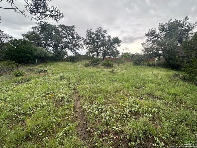 799 Mockingbird Cv, Home with 0 bedrooms, 0 bathrooms and null parking in Spring Branch TX | Image 5