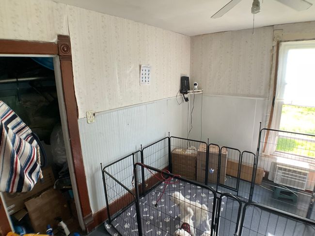 207 W Williams St, House other with 3 bedrooms, 1 bathrooms and 1 parking in Dwight IL | Image 12