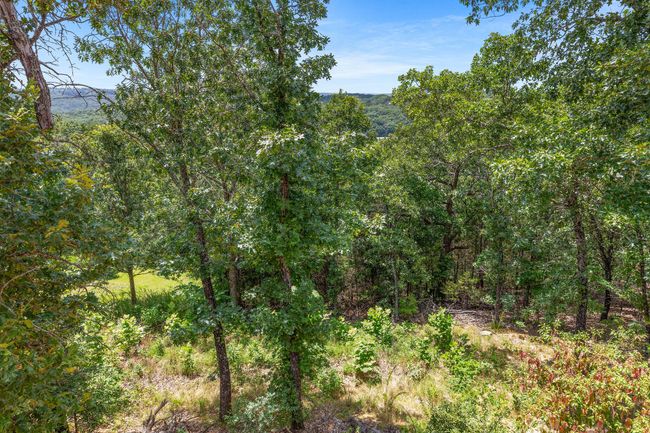 Briggs-19 | Image 22