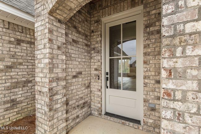 8-web-or-mls-202 Lizzy-8 | Image 6