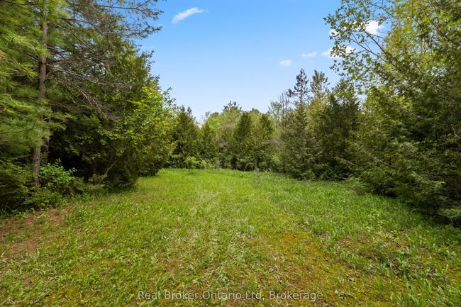 0 Pt Lt 70 Con 2 Concession, Home with 0 bedrooms, 0 bathrooms and null parking in Chatsworth ON | Image 5