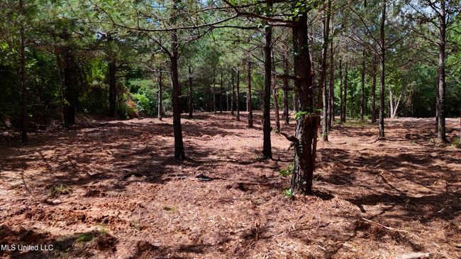 DJI_20250605160535_0677_D.00_00_44_21.St | Image 9