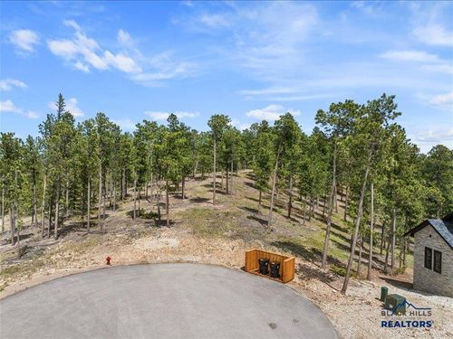 11315 Overlook Pass, lead, SD, 57754 | Card Image