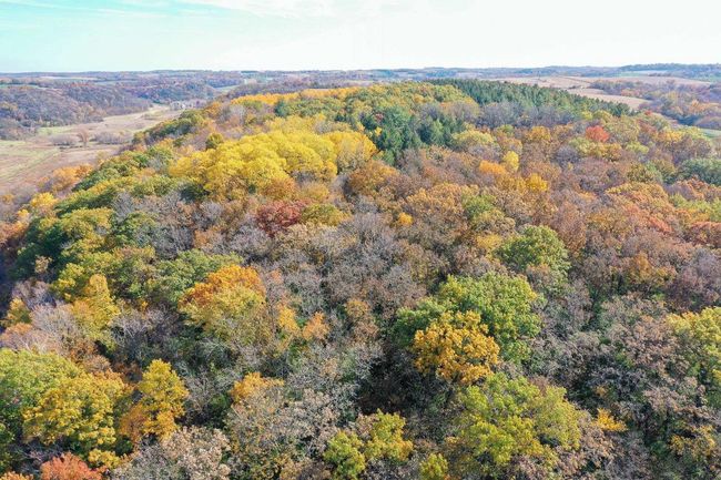 28.7 Acres Turkey Road, Home with 0 bedrooms, 0 bathrooms and null parking in BERRY WI | Image 18