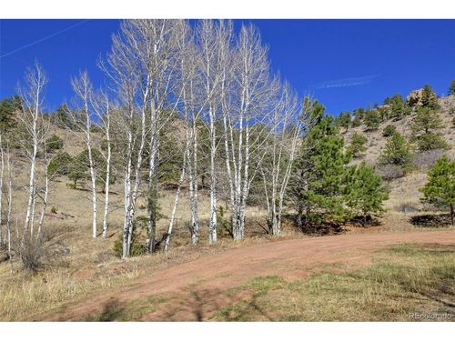 221 Floresta, Florissant, CO, 80816 | Card Image