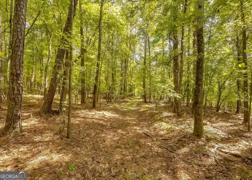 1251 Crumbley Road, mcdonough, GA, 30252 | Card Image
