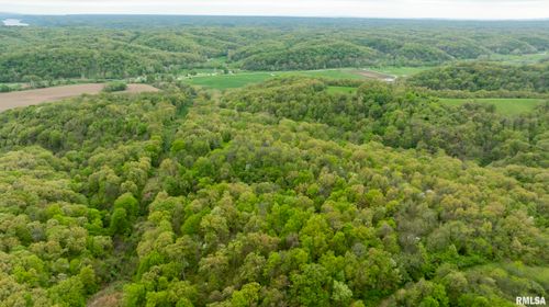 000 Bee Creek Rd, Pearl, IL, 62361 | Card Image