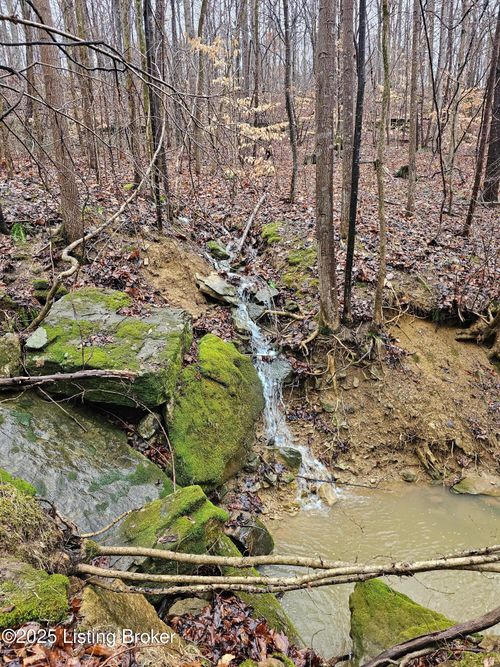 3 Boone Hollow Rd, Battletown, KY, 40104-8376 | Card Image