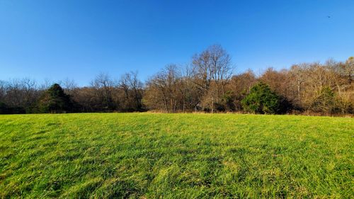 lot-22-6973 W Republic Rd, Republic, MO, 65738 | Card Image