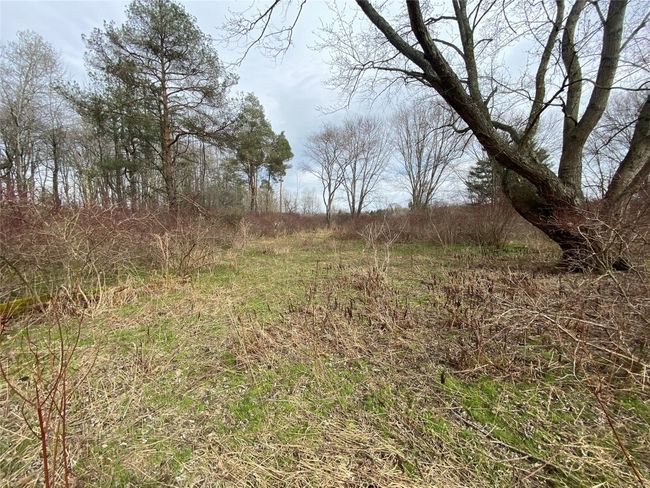0 Pa 99 Highway, Home with 0 bedrooms, 0 bathrooms and null parking in Cambridge Springs PA | Image 8