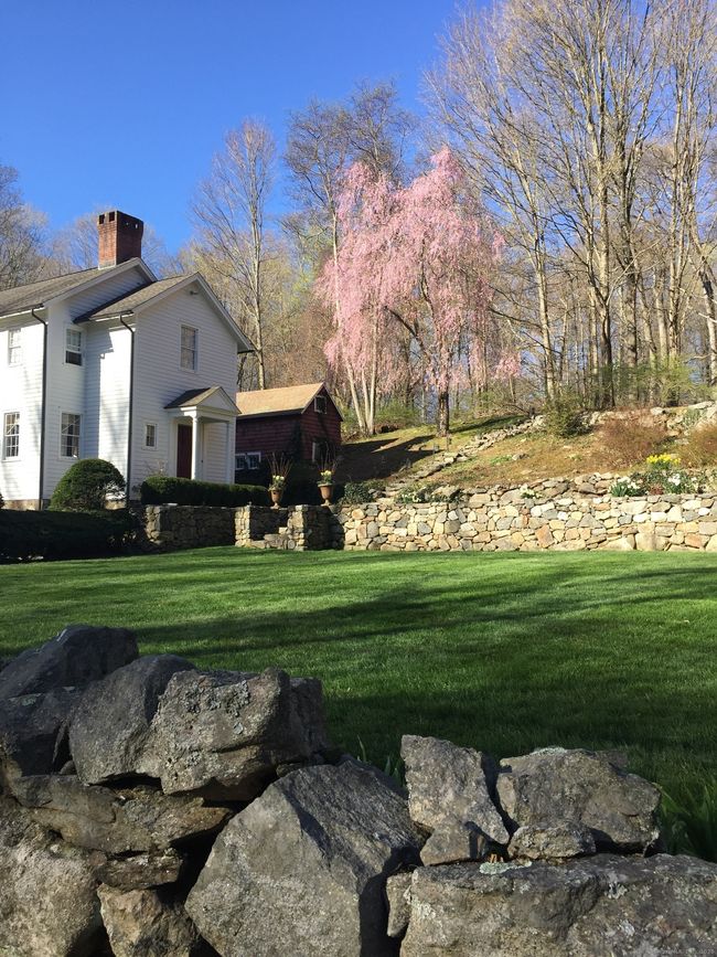 247 Mill Rd, House other with 4 bedrooms, 4 bathrooms and null parking in New Canaan CT | Image 35