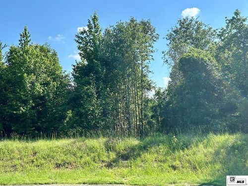 000 North Pointe Drive, Downsville, LA, 71234 | Card Image