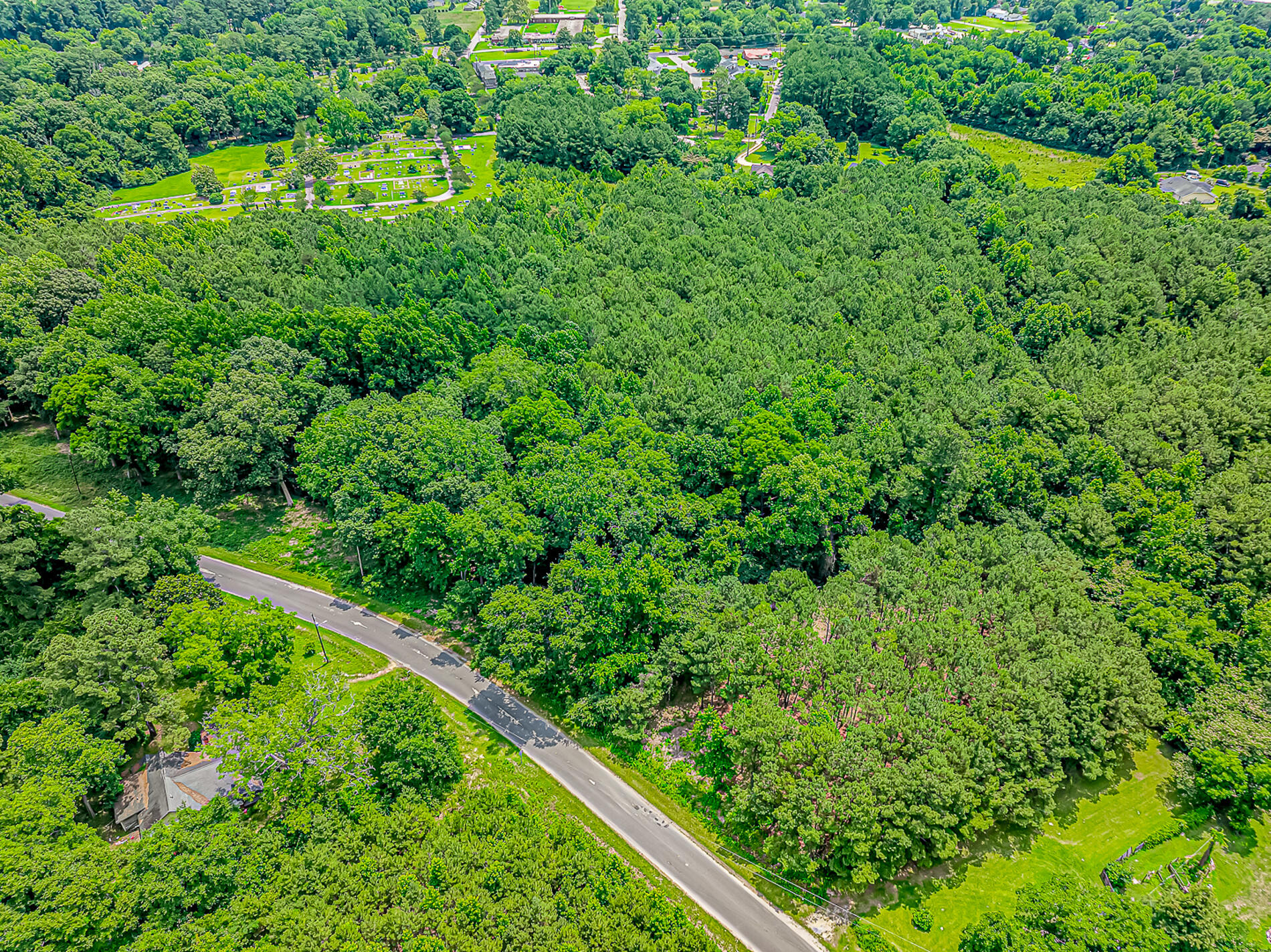 Land in Mullins 4