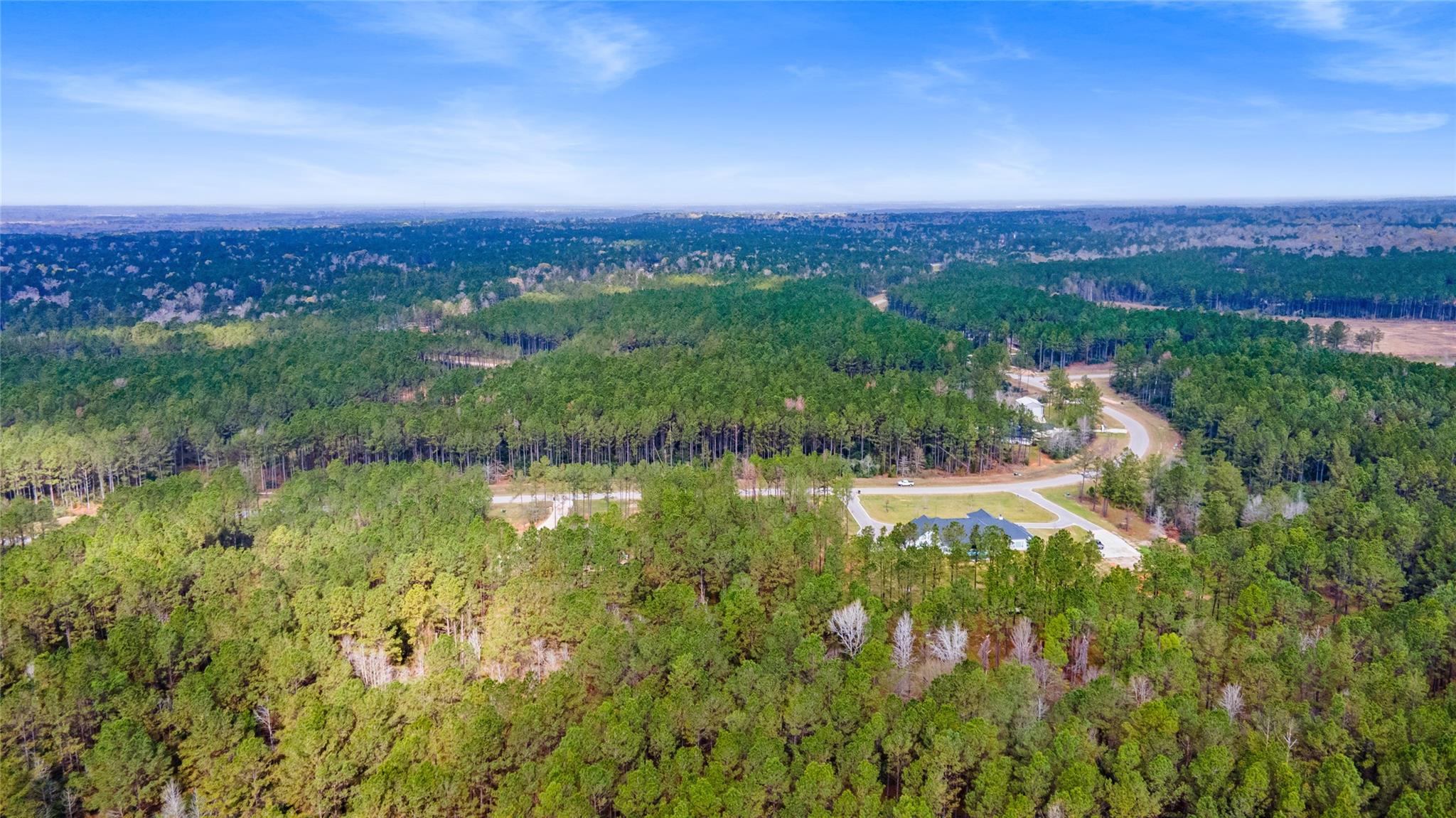 Land in Willis 5