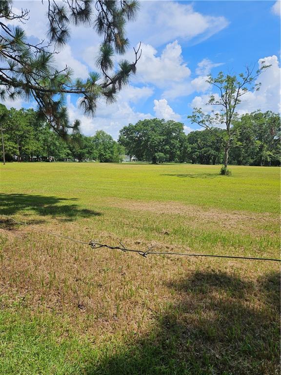 New Neck Rd, Mobile, AL 36695