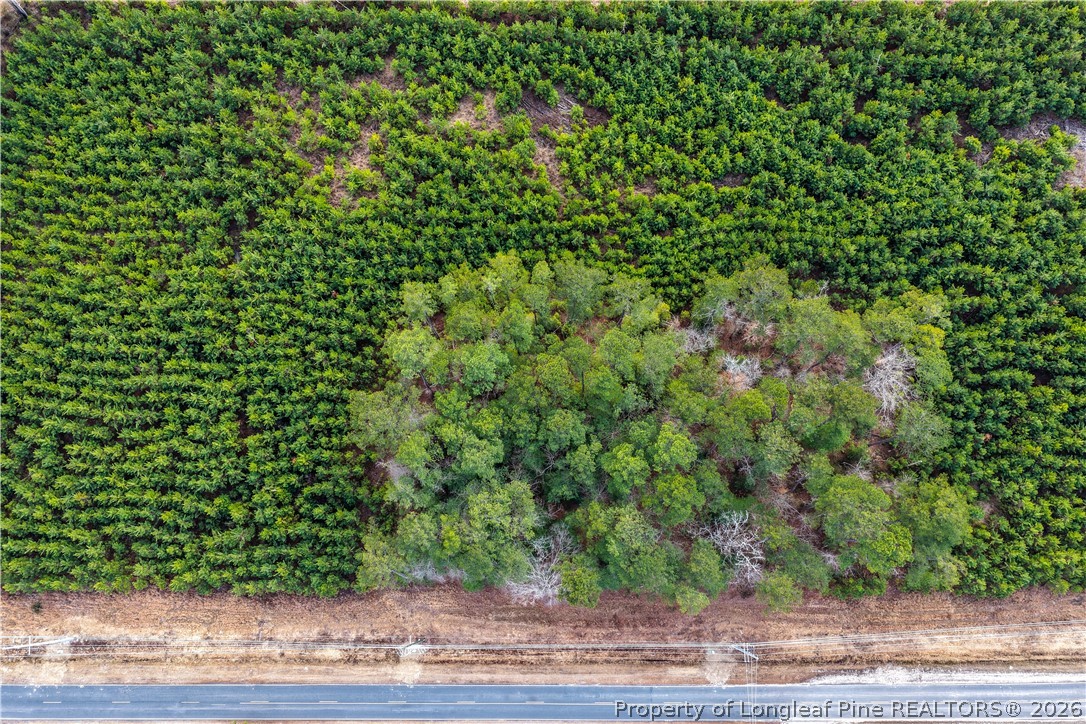 Land in Fayetteville 2