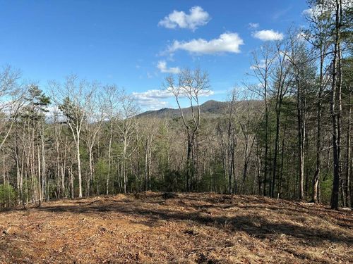 Lot 86 Lookout Trl, Mineral Bluff, GA, 30559 | Card Image