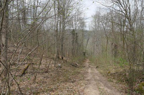 TBD Nickelsville Hwy, Gate City, VA, 24251 | Card Image