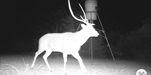 2197 Sd 45340, Rocksprings, TX, 78880 | Card Image