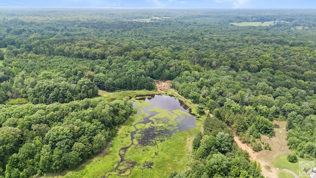 Land in Texarkana 4