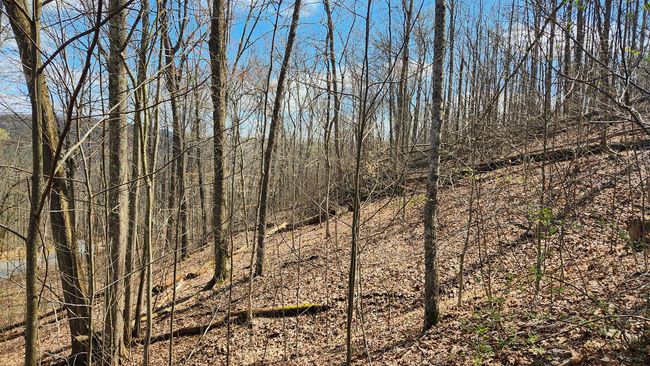 TRACT-2-PIKE-LAKE-GETAWA - 0 Pike Lake Rd, Home with 0 bedrooms, 0 bathrooms and null parking in Bainbridge OH | Image 40