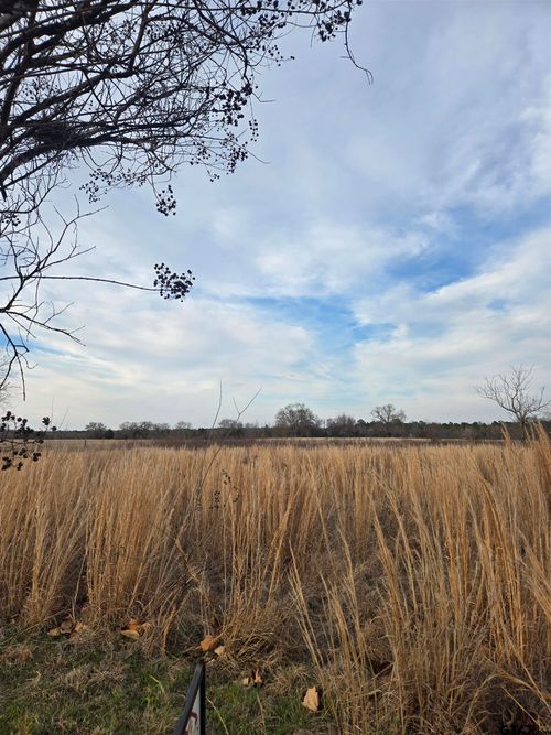 TBD Cr 4836 0.50, Winnsboro, TX, 75494 | Card Image