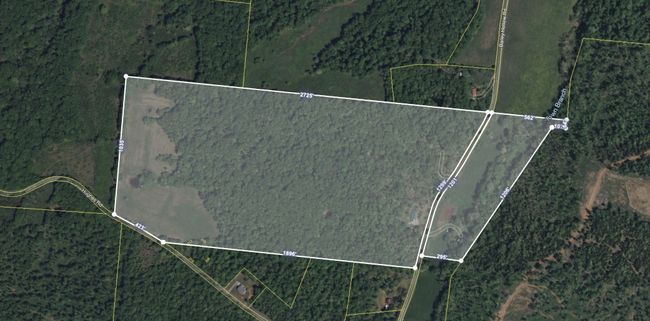 1194 Bailey Hollow Rd, House other with 3 bedrooms, 2 bathrooms and 6 parking in Erin TN | Image 6