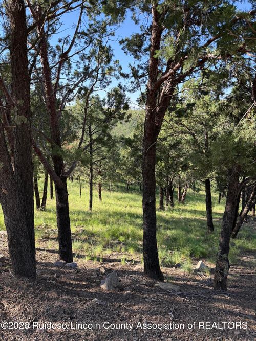 198 Crown Ridge Rd, Alto, NM, 88312-8003 | Card Image