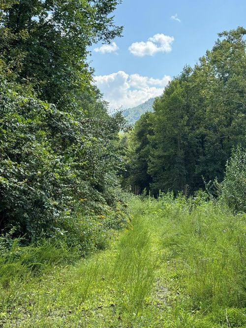 0 Smokey Creek Rd, Huntsville, TN, 37756 | Card Image