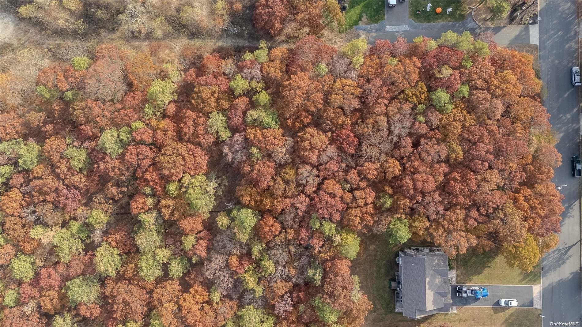 Land in Brookhaven 4