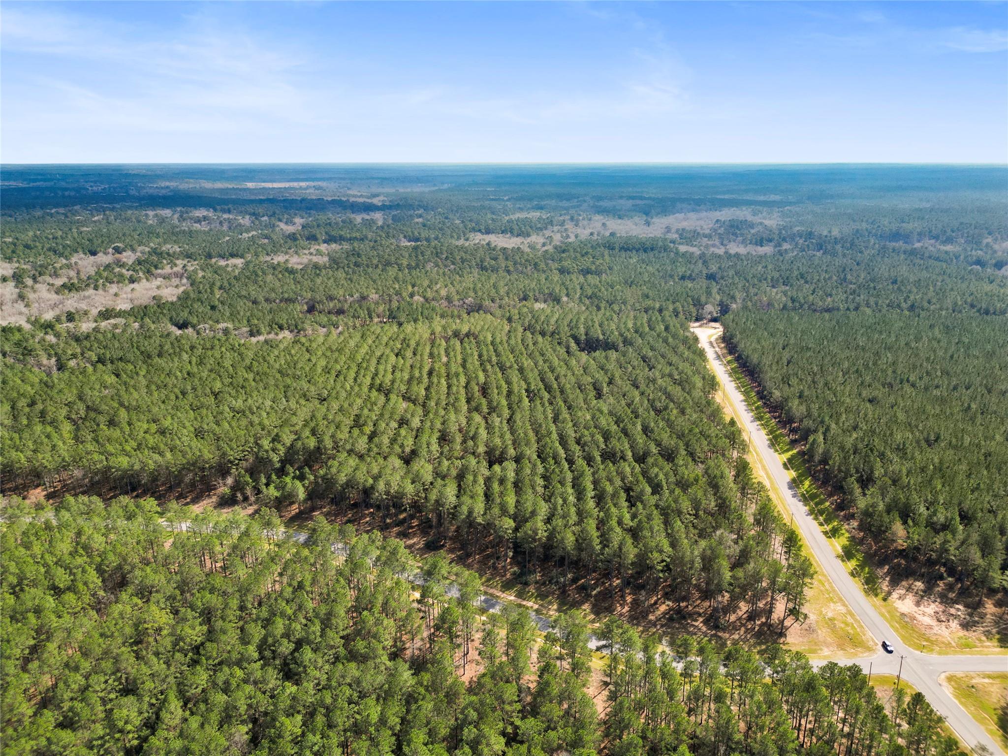 Land in Huntsville 4