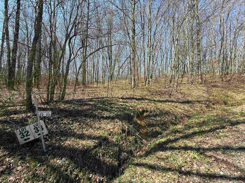 TBD Silver Oak Lane, Belington, WV, 26250 | Card Image