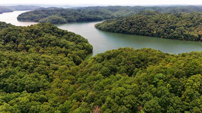 9999 Chestnut Hills Rd, Home with 0 bedrooms, 0 bathrooms and null parking in Burkesville KY | Image 4