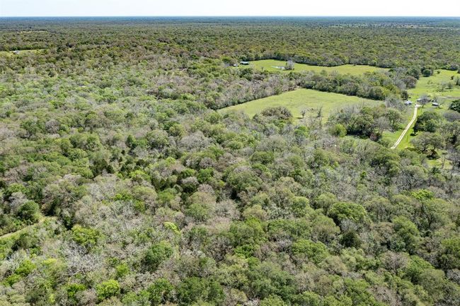 0 County Road 321, Home with 0 bedrooms, 0 bathrooms and null parking in Sweeny TX | Image 13