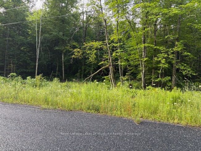 60 Summer Leigh Trail, Home with 0 bedrooms, 0 bathrooms and null parking in Utterson ON | Image 10